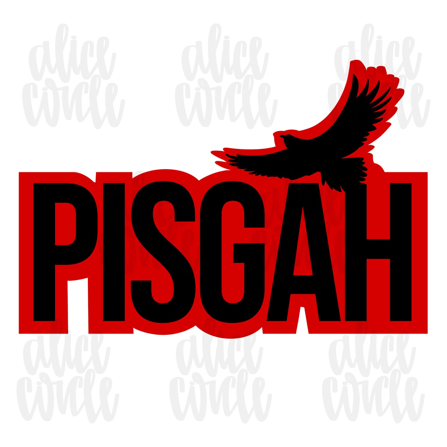 Pisgah T-shirts